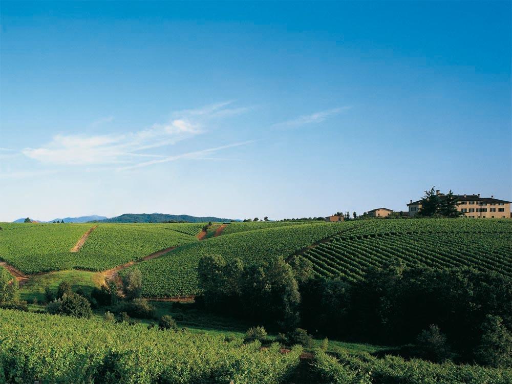 Agriturismo Tenuta la Marchesa Novi Ligure Bagian luar foto